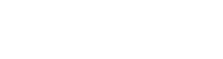 Biscuit ameiro